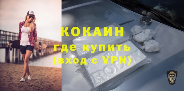 прущие грибы Медногорск