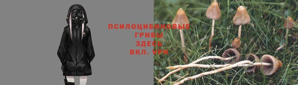 гидра Абинск