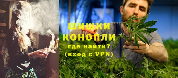 прущие грибы Медногорск