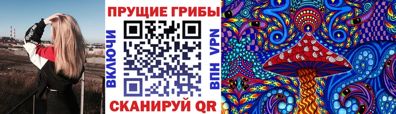 закладка  Братск  Галлюциногенные грибы ЛСД 